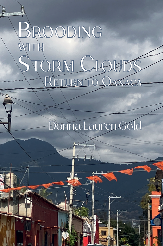 Brooding with Storm Clouds cover